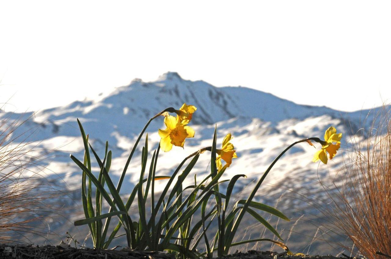 Hawkridge Alpine Suite Queenstown Exteriör bild