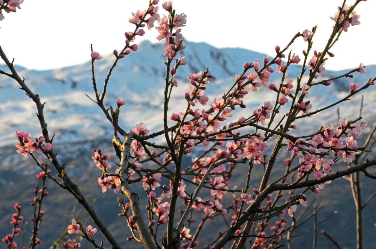 Hawkridge Alpine Suite Queenstown Exteriör bild